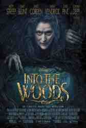 poster Into The Woods