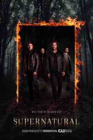 poster Supernatural - Season 01-15