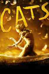 poster Cats